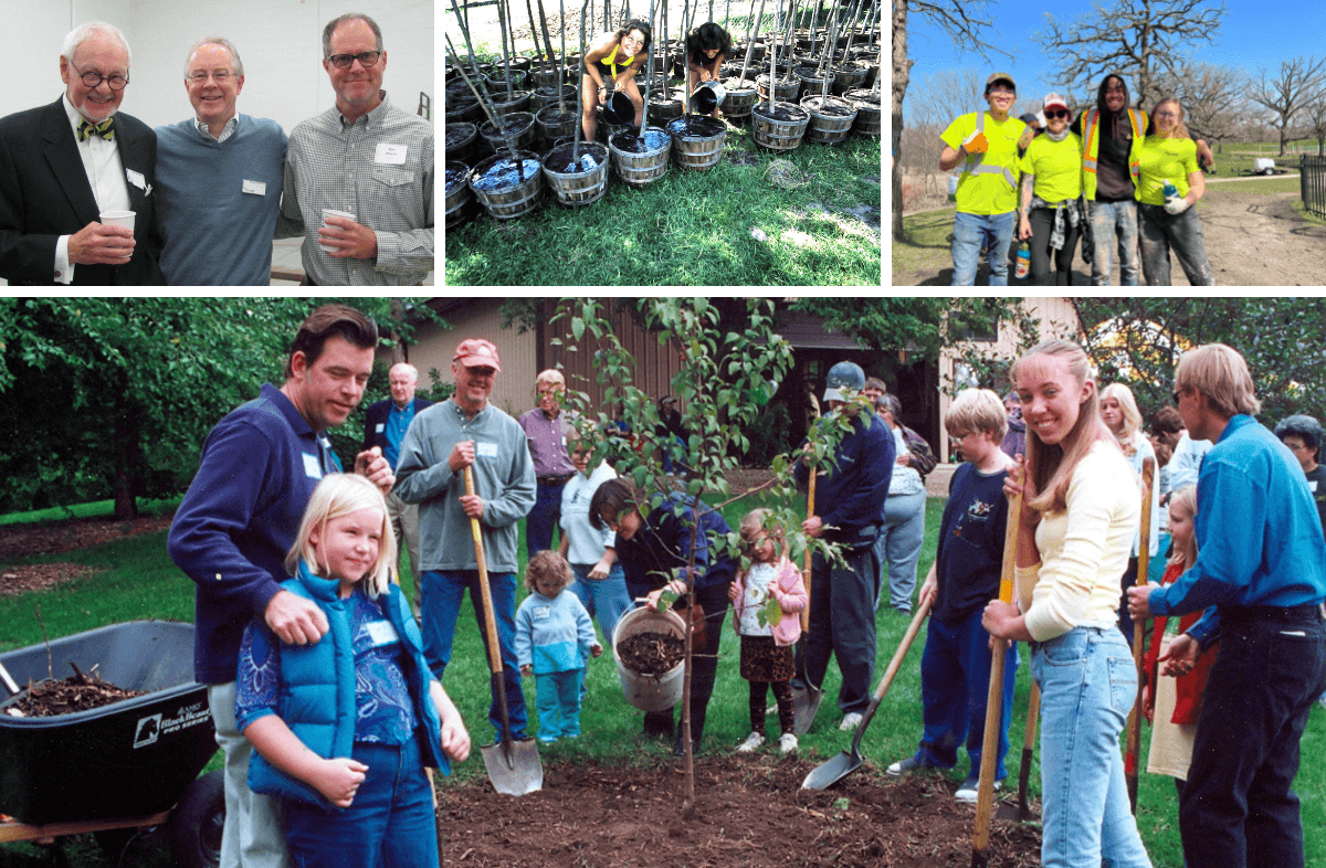 Image of Tree Trust Alumni Stories Image of Tree Trust Alumni Stories